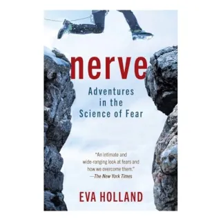 Nerve