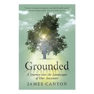 Grounded
