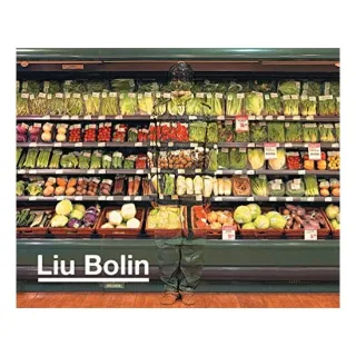 Liu Bolin