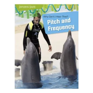 Why Cant I Hear That Pitch And Frequency