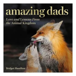 Amazing Dads