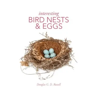 Interesting Bird Nests and Eggs