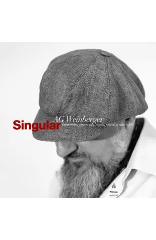 Singular. Lamentări, observații, studii, poezii și alte texte