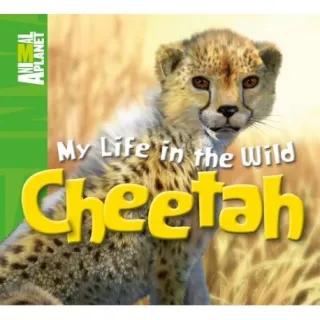 My Life in the Wild: Cheetah