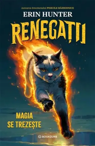 Renegații. Magia se trezește (Vol. 1)
