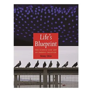Life's blueprint