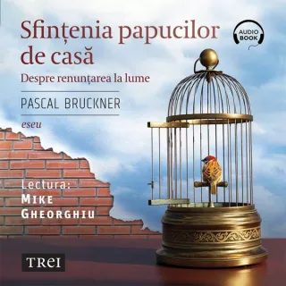 Sfințenia papucilor de casă. Despre renunțarea la lume - Audiobook