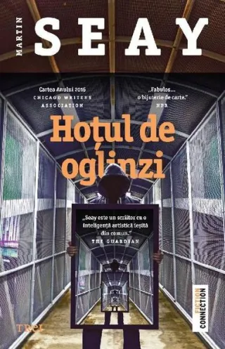 Hoțul de oglinzi