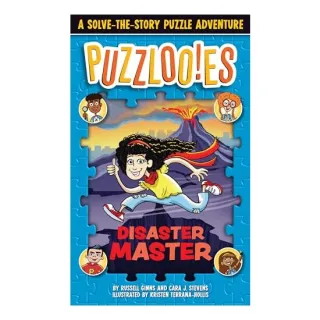 Puzzlooies! Disaster Master