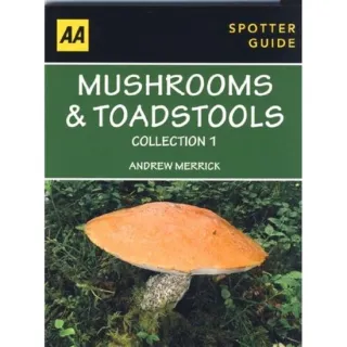Mushrooms & Toadstools Collection 1