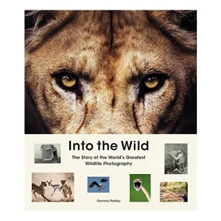 Into the Wild