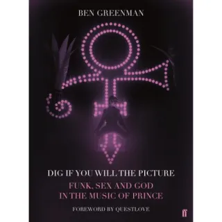 DIG IF YOU WILL THE PICTURE