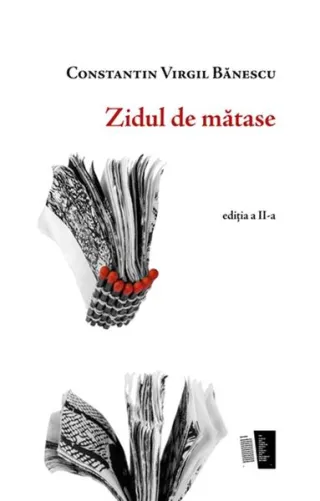 Zidul de mătase