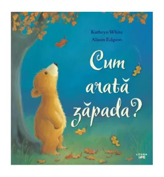 Cum arată zăpada?