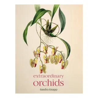 Extraordinary Orchids