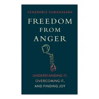 Freedom From Anger: Understanding It, Overcoming I(...)