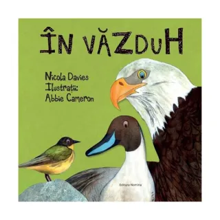 În văzduh