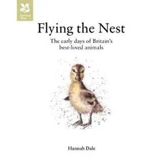 Flying the Nest