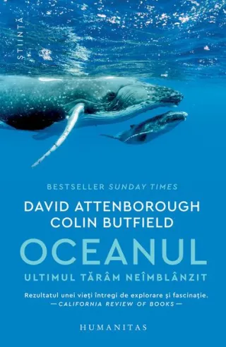 Oceanul
