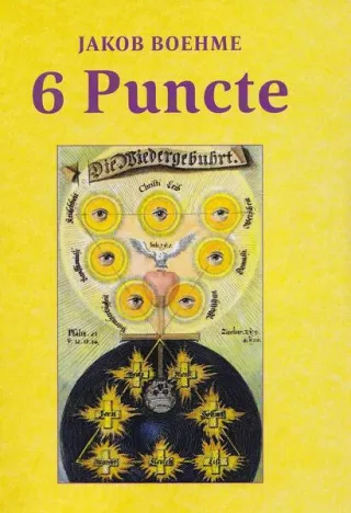 6 puncte