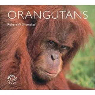 ORANGUTANS , Dr. Robert W. Shumaker