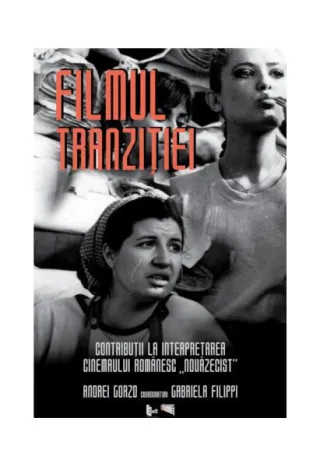 Filmul tranziției. Contribuții la interpretarea cinemaului românesc „nouăzecist”