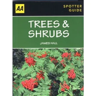 Trees & Shrubs