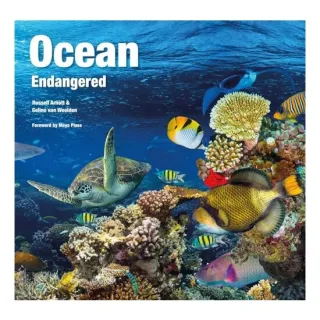 Ocean