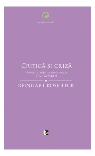 Critică și criză
