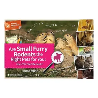 Are Small Furry Rodents the Right Pet for You