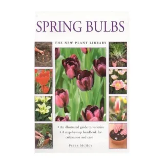 Spring Bulbs