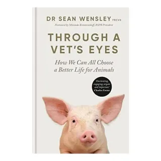 Through a Vet's Eyes