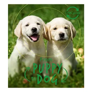 Lifecycles - Pup to Dog