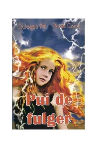 Pui de fulger