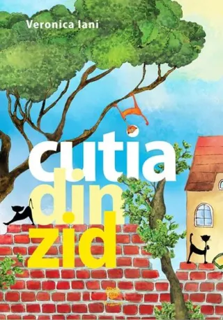 Cutia din zid
