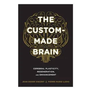 The Custommade Brain Cerebral Plasticity Regeneration And Enhancement