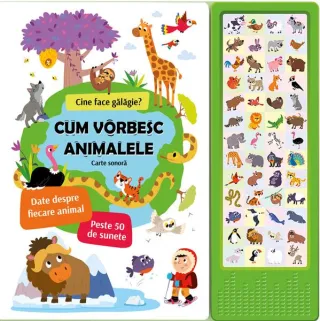 Vehicule zgomotoase: Carte sonoră