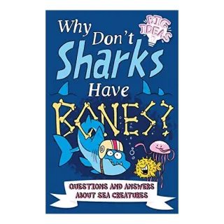 Why Dont Sharks Have Bones?