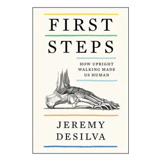 First Steps, Jeremy DeSilva