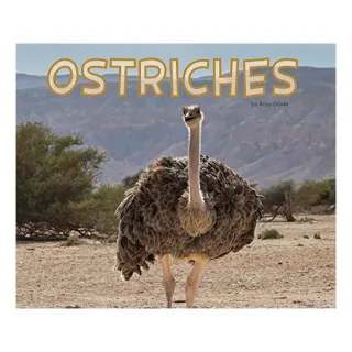 Ostriches