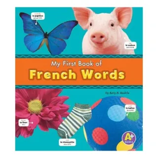 My First Book of French Words - Bilingual Picture Dictionaries