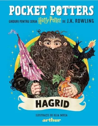 Pocket Potters: Hagrid (Vol. 6)