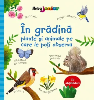 În grădină – plante și animale pe care le poți observa