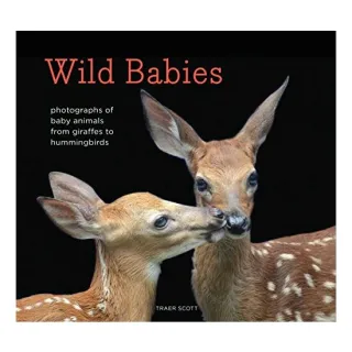 Wild Babies, Traer Scott