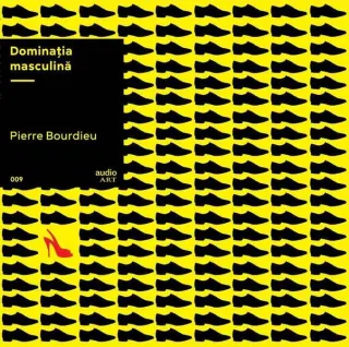 Dominația masculină | vinil audiobook