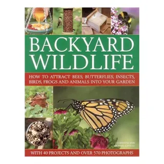 Backyard Wildlife