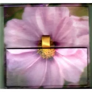 Pink Cosmos Memo Cube
