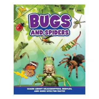 Bugs and Spiders