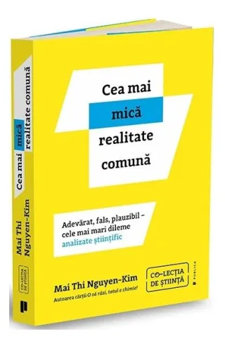 Cea mai mică realitate comună