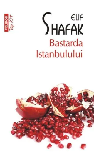 Bastarda Istanbulului (Top 10+)